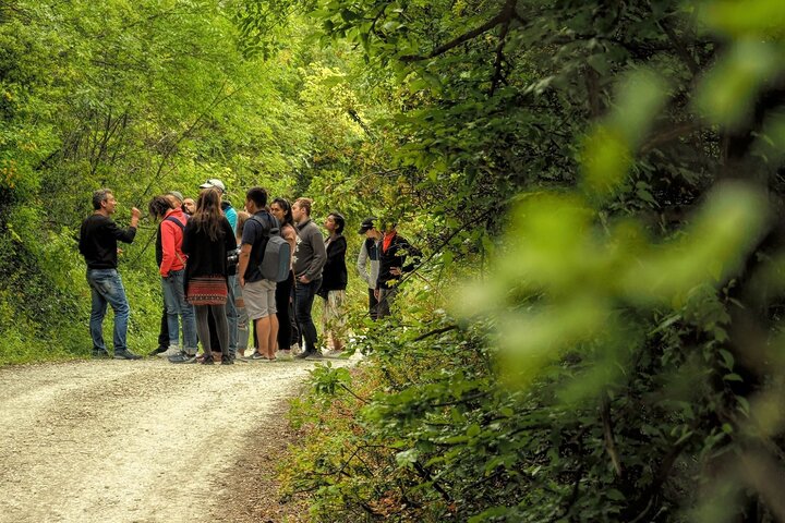 Athens: Meteora Monasteries Tour, Caves, Beachfront Stops & Lunch