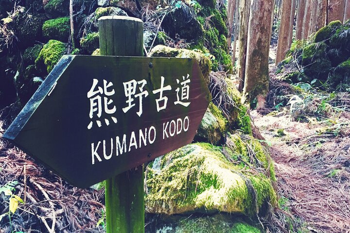 Kumano Kodo Pilgrimage in 1 Day by Car with Licensed Guide