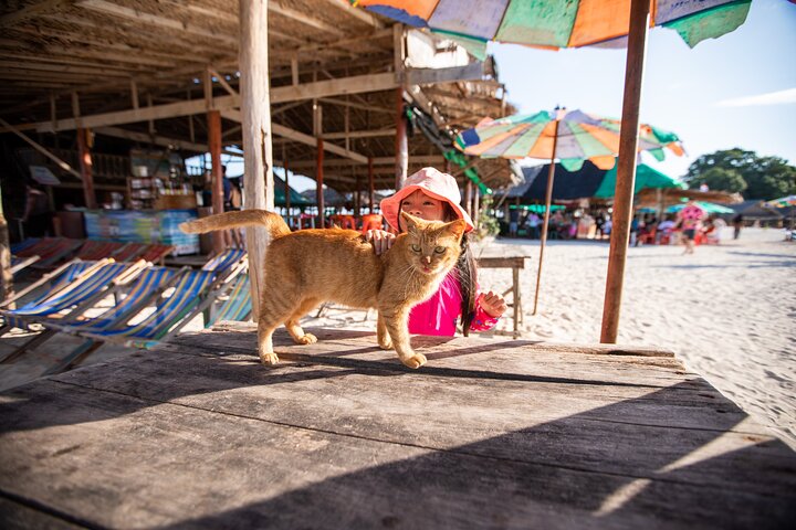 Phi Phi, Maya Bay and Khai Islands Tour By Seastar Andaman From Khao Lak