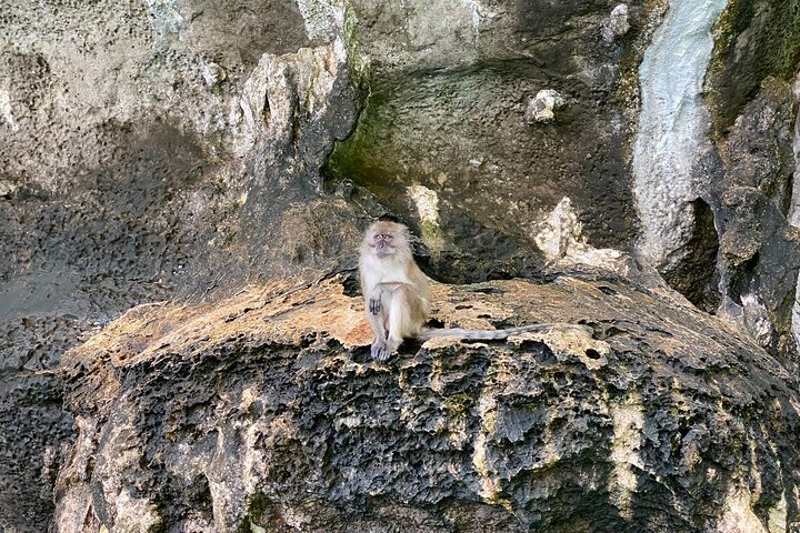 Phi Phi, Maya Bay and Khai Islands Tour By Seastar Andaman From Khao Lak