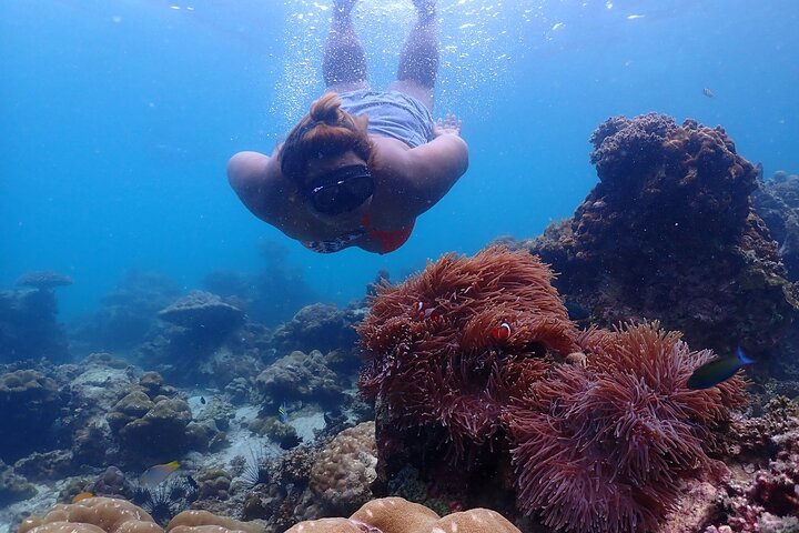Phi Phi, Maya Bay and Khai Islands Tour By Seastar Andaman From Khao Lak