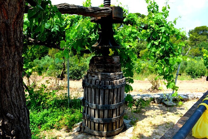 Wine cellars tour + Lunch in e-bike and private guide