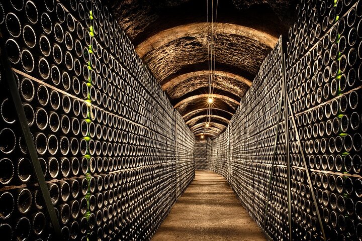 Wine cellars tour + Lunch in e-bike and private guide