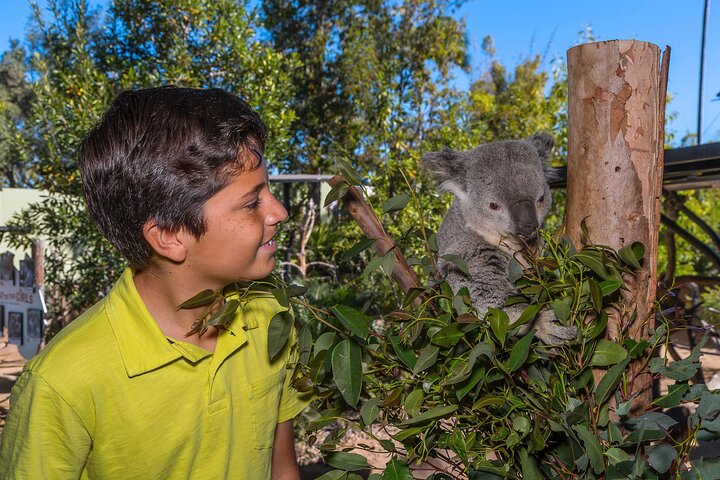 San Diego Zoo 1-Day Pass: Any Day Ticket