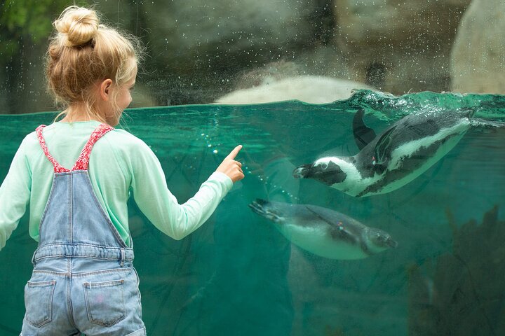 San Diego Zoo 1-Day Pass: Any Day Ticket