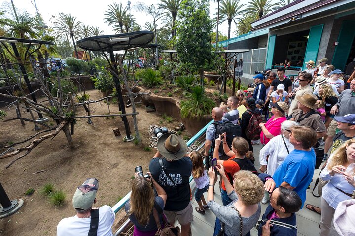 San Diego Zoo 1-Day Pass: Any Day Ticket
