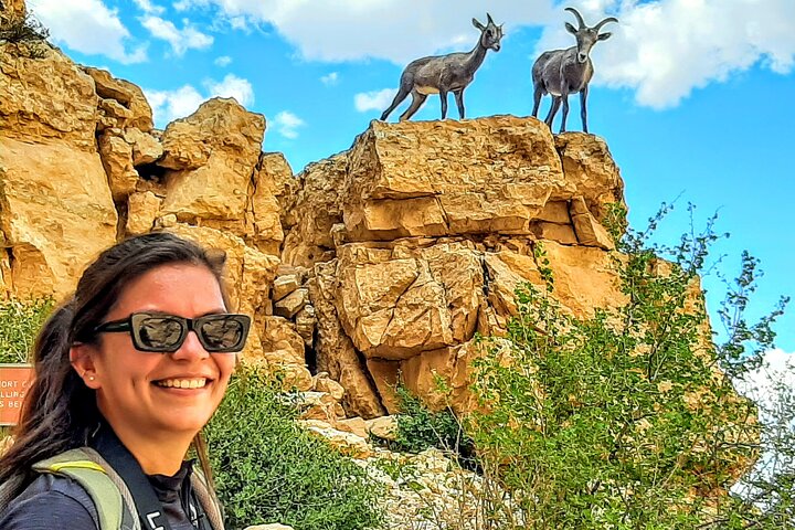 Half Day Private Grand Canyon Guided Hiking Tour