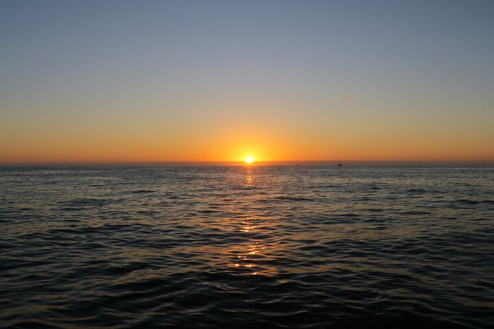 Sunset & Dolphin Tour St. Pete Beach