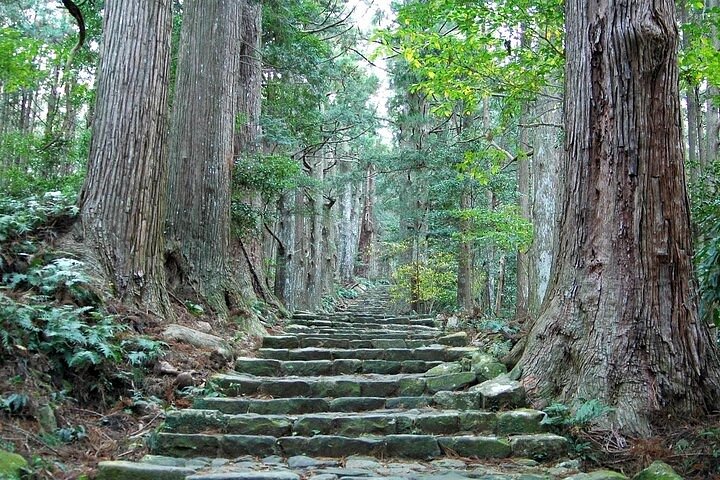 Kumano Kodo Half Day Daimonzaka and Nachi Taisha Tour