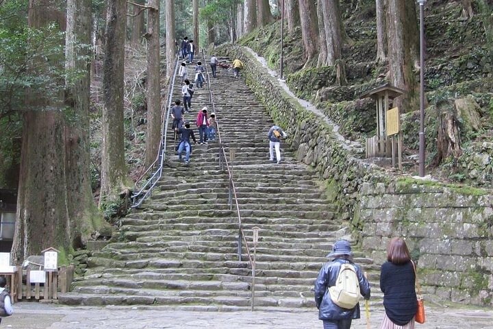 Kumano Kodo Half Day Daimonzaka and Nachi Taisha Tour