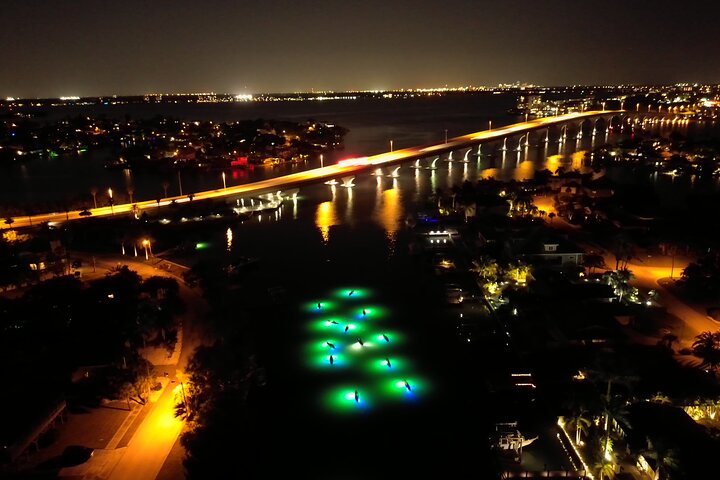 Sharkeys Glass Bottom Fish Feeding LED Night Tour St. Pete Beach