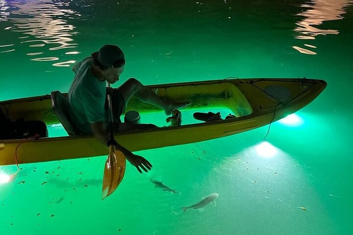 Sharkeys Glass Bottom Fish Feeding LED Night Tour St. Pete Beach