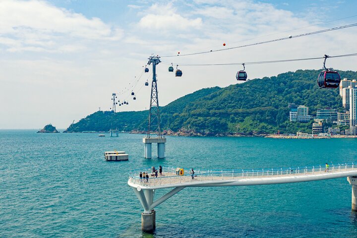 Busan Highlights in One Day: Small Group Tour (Max 6 Pax)