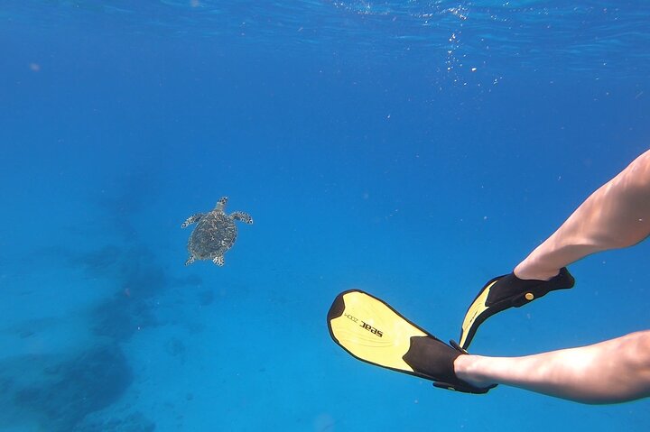 Snorkeling Gear Rental