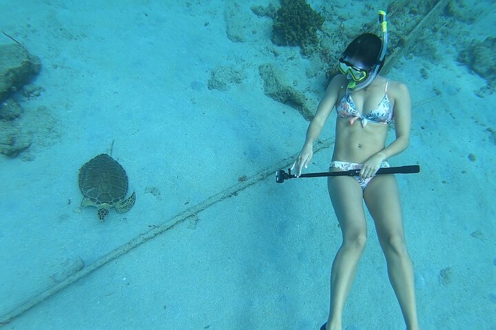 Snorkeling Gear Rental