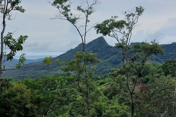 Tamanique Waterfalls Complex Trek + El Tunco Beach