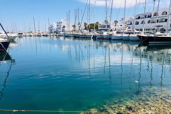 Private Tour to Kairouan, El Jem & Monastir from Tunis_hammamet
