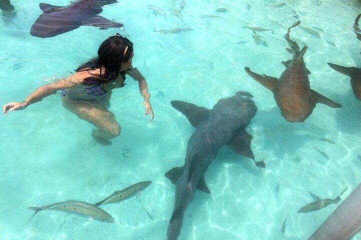 Crystal Bay Exuma Private Boat Tours & Fishing Charters