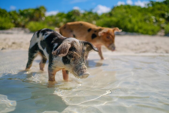 Crystal Bay Exuma Private Boat Tours & Fishing Charters