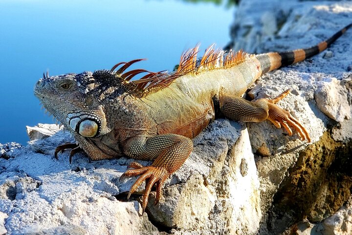 Crystal Bay Exuma Private Boat Tours & Fishing Charters