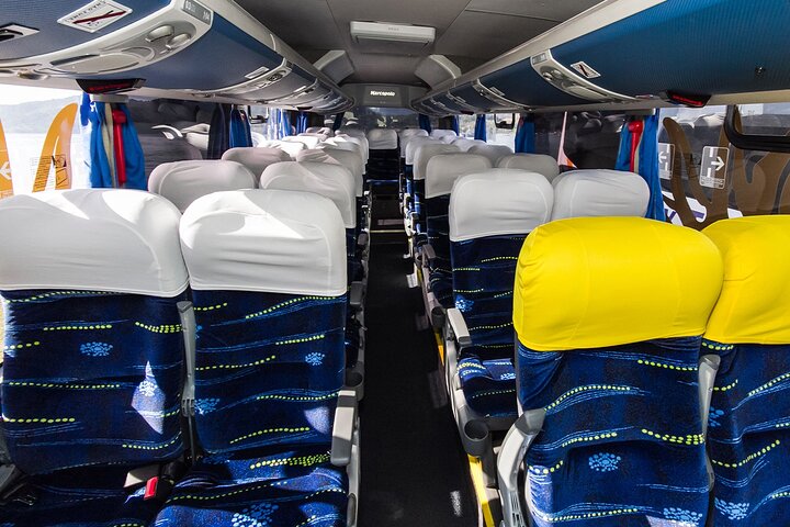 From Ilha Grande: Shared shuttle transfer to Paraty