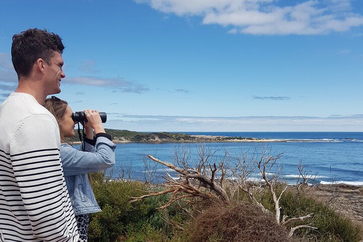Hidden Gems of Margaret River: Wine, Italian Lunch & Emu Feeding