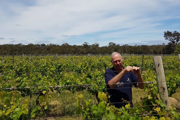 Hidden Gems of Margaret River: Wine, Italian Lunch & Emu Feeding