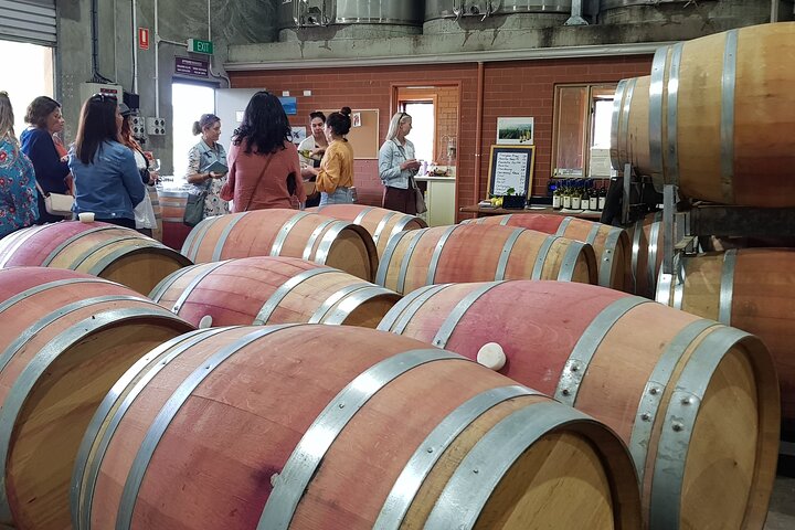 Margaret River Small-Group Curated Wine, Coffee, Lunch & Forest