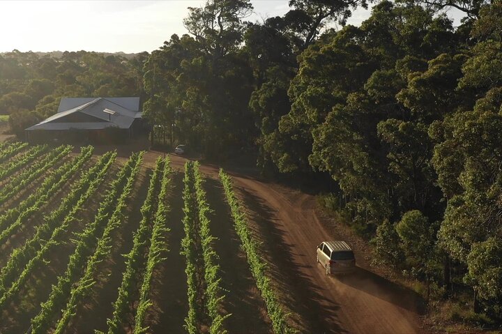 Hidden Gems of Margaret River: Wine, Italian Lunch & Emu Feeding