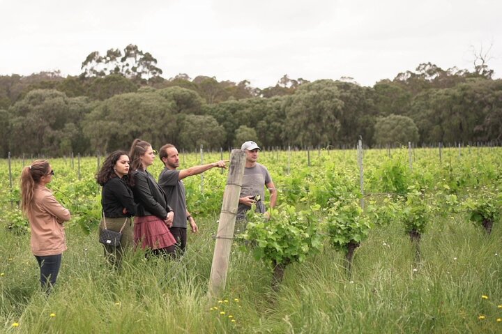 Hidden Gems of Margaret River: Wine, Italian Lunch & Emu Feeding