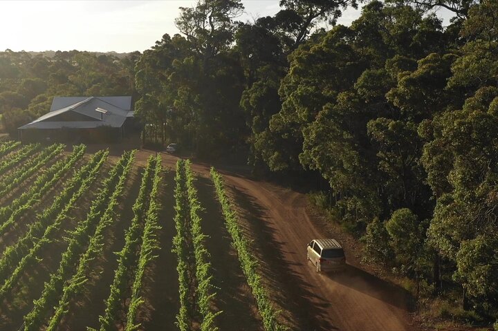Margaret River Small-Group Curated Wine, Coffee, Lunch & Forest
