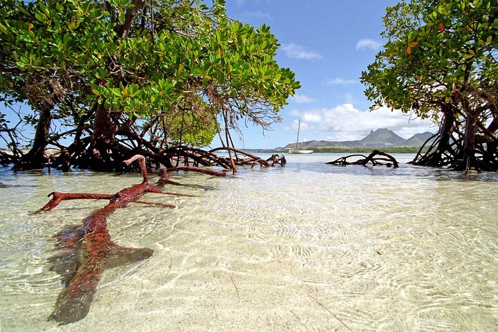 Full Day Tour 5 Island to Ile Aux Cerfs Incl. Lunch and Transfer