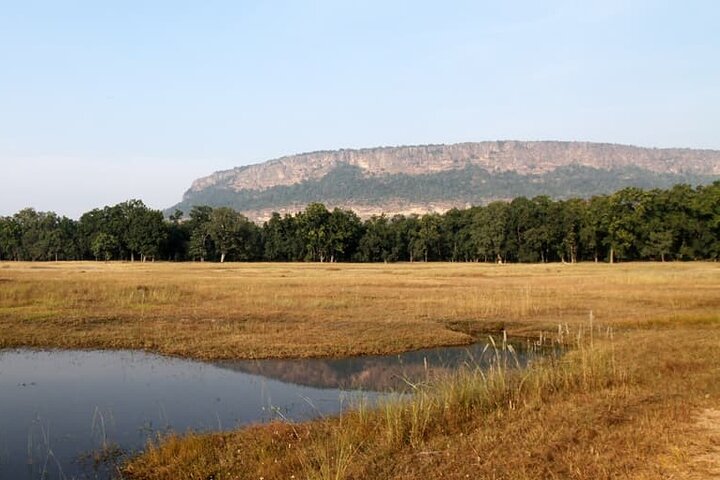 Tiger, Temple & Taj