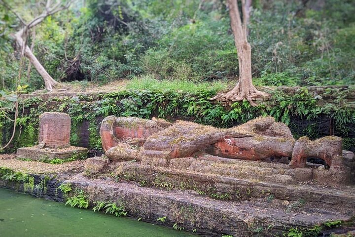 Tiger & Temple