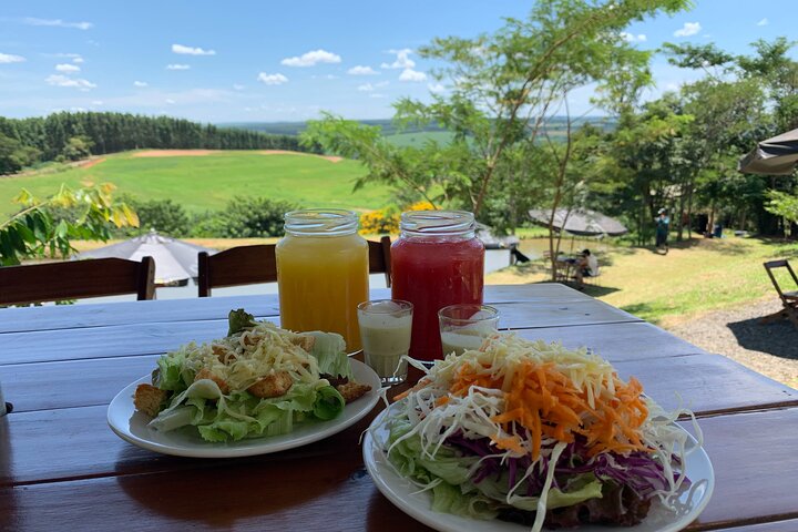 Entrance ticket to Viva Brotas Ecopark with lunch