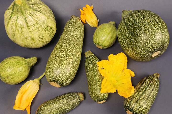 Private Mexican Cooking Class with Licensed Chef