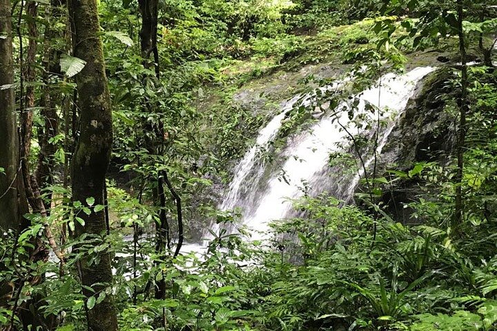 Manuel Antonio National Park Guided Tour – With Ticket Option