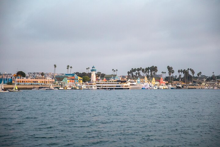 Luxury Shared E-Boat Cruise with Wine, Charcuterie & Sea Lions Spotting