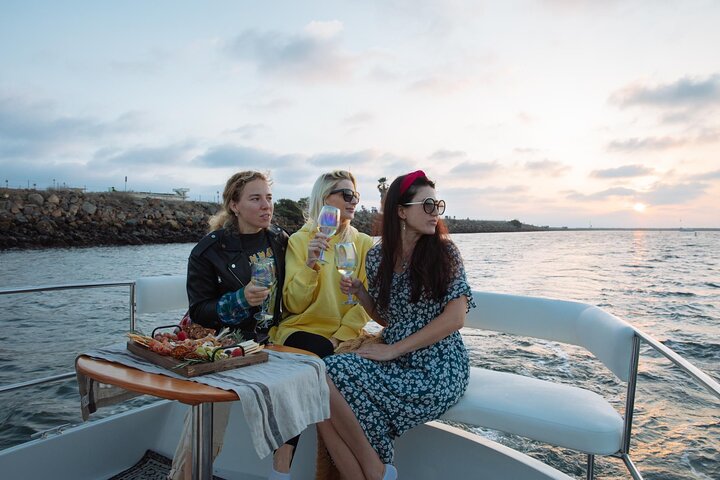 Luxury Shared E-Boat Cruise with Wine, Charcuterie & Sea Lions Spotting