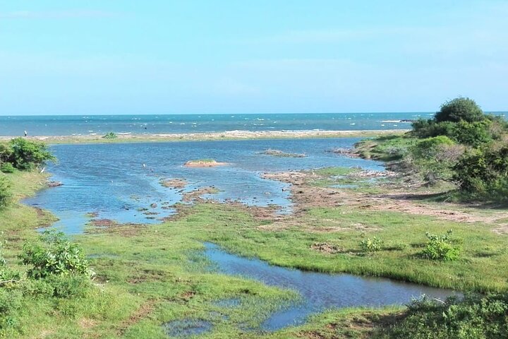 Minneriya National Park Safari | Jeep with Tickets