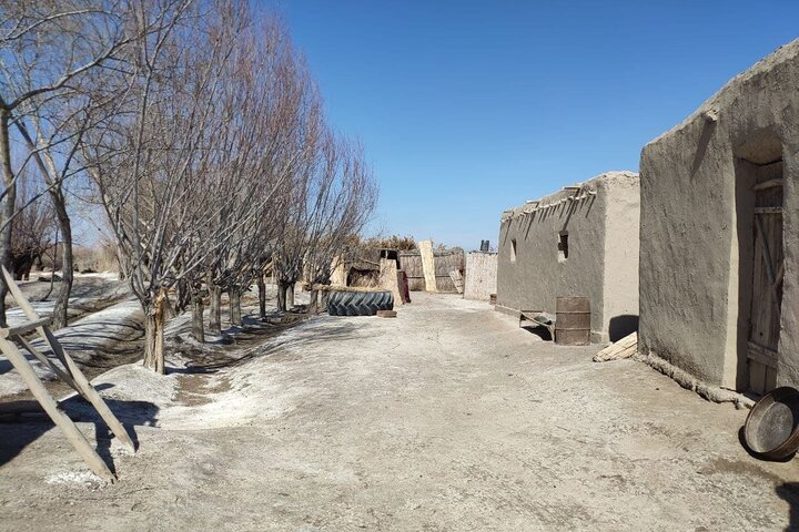 Karakalpak Heritage Tour to Chimbay and Khalkabad Villages