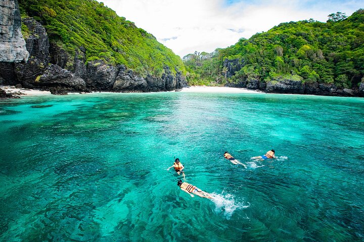 Phi Phi Islands One Day Tour By Speedboat from Krabi