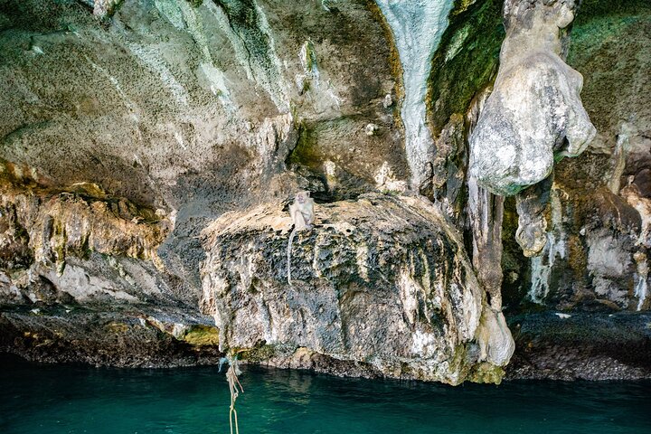 Phi Phi Islands One Day Tour By Speedboat from Krabi