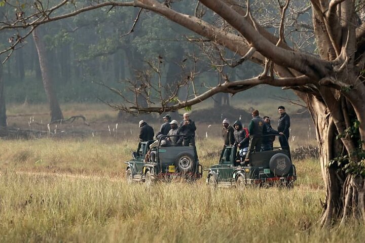 WildlifeSafari in Tadoba, Pench, Kanha & Bandhavgarh NationalPark