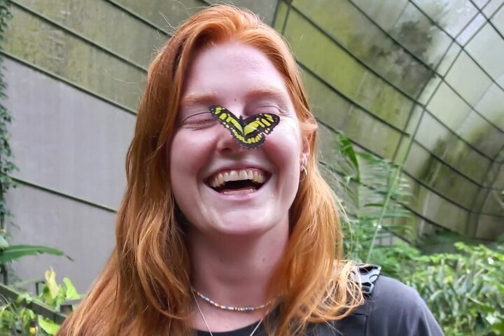 Admission to Andoke Butterfly Center in Cali with Release Ritual