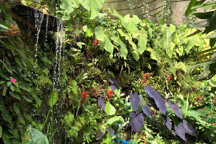 Admission to Andoke Butterfly Center in Cali with Release Ritual