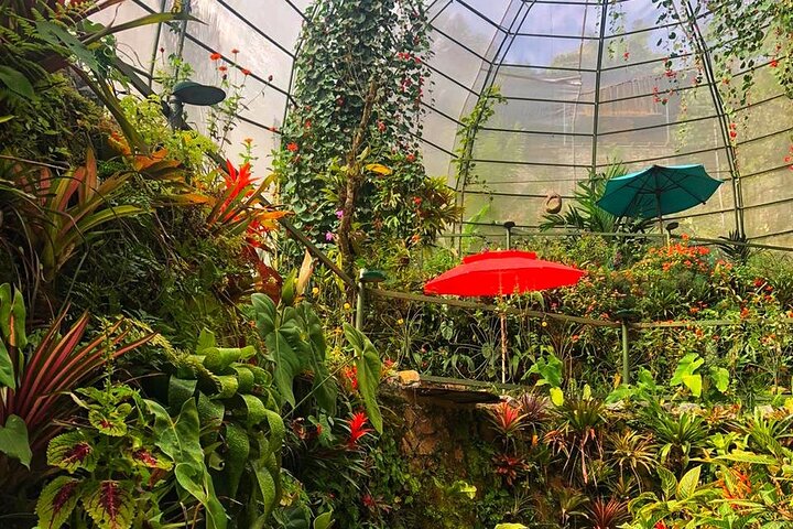 Admission to Andoke Butterfly Center in Cali with Release Ritual