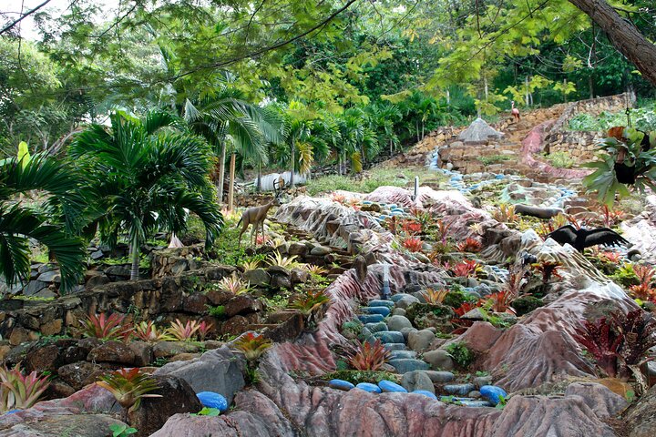 Admission to Andoke Butterfly Center in Cali with Release Ritual