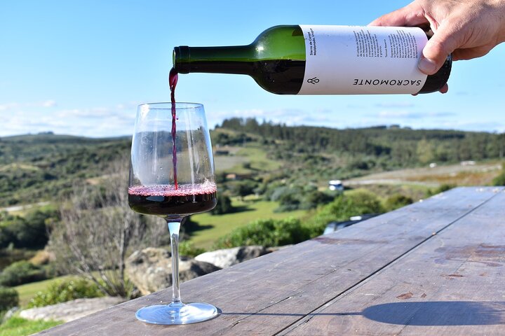 Uncover a Secluded Vineyard for Lunch