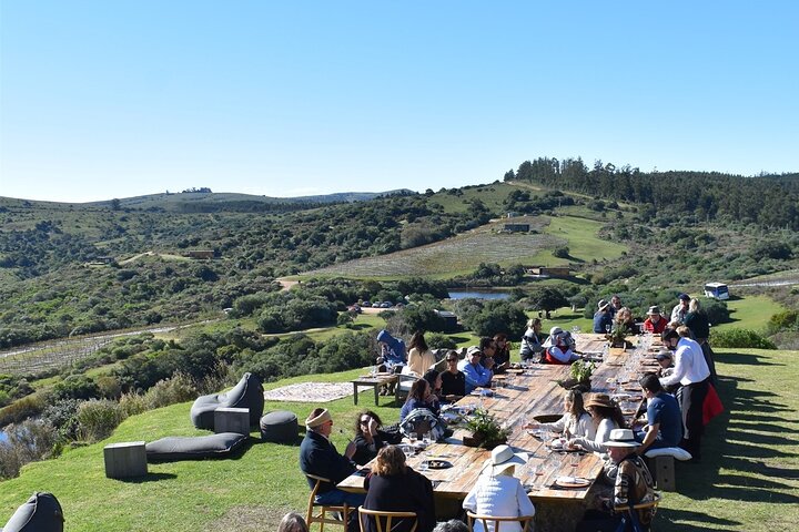 Uncover a Secluded Vineyard for Lunch